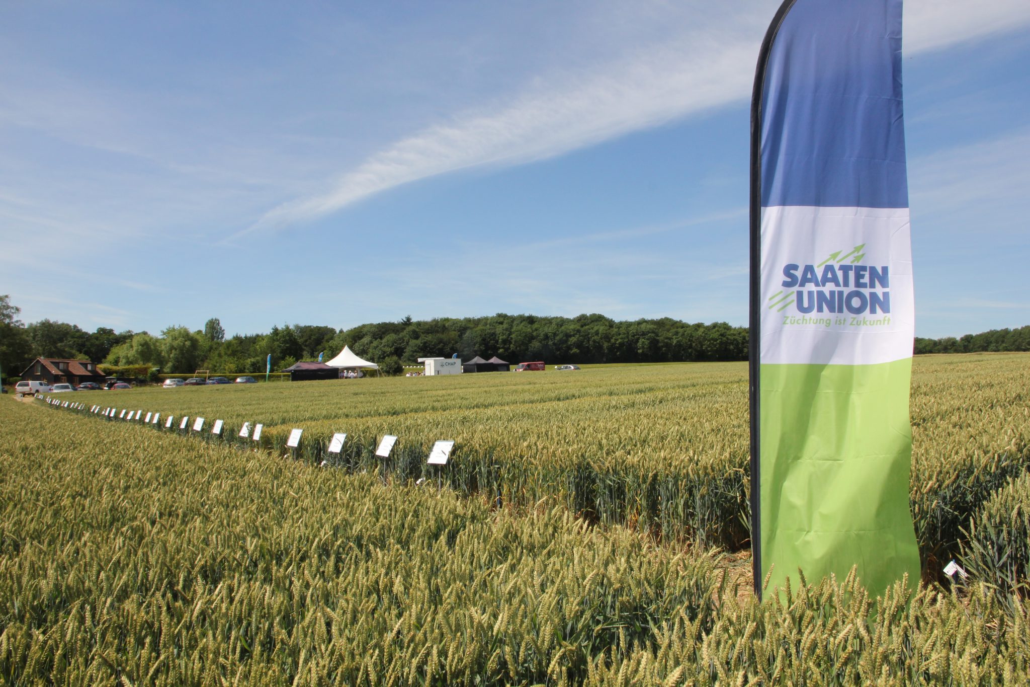 IMG_2220-2048x1365 landscape photography of wheat field